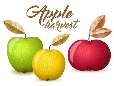 Apple harvest, vector illustration apple apples fruit golden green red slanapotam vector yellow