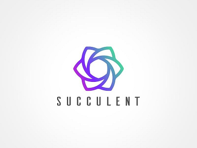 Succulent