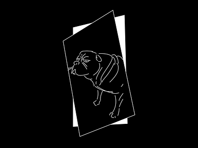 Judging Dog app branding design dog figma flat icon illustration minimal ui ux vector web