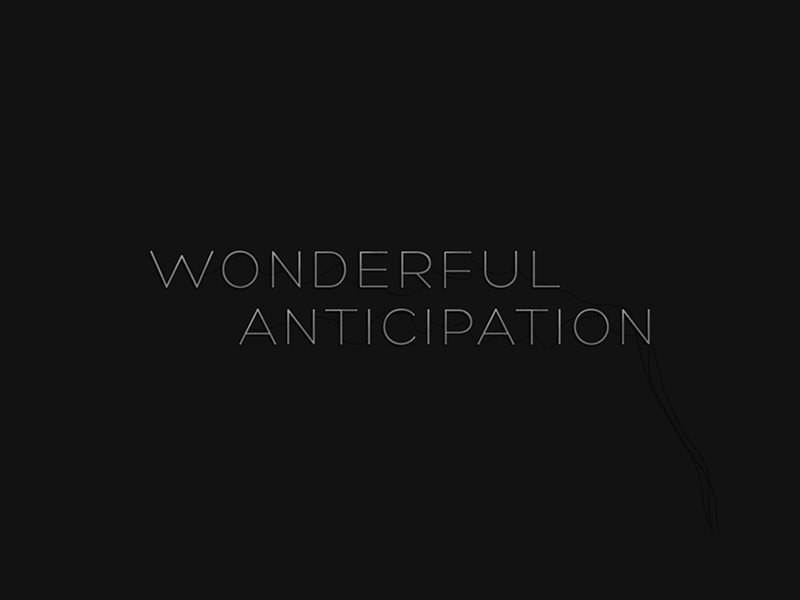 Animation anticipation 800x600