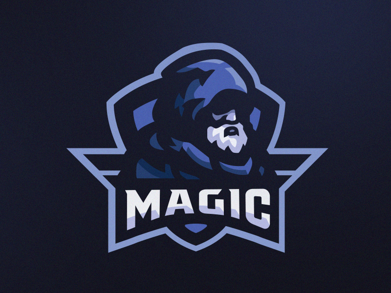 Wizard wizards wizard logo design vector esportslogo mascot logo mascot illustration gamer esports esportlogo esport branding