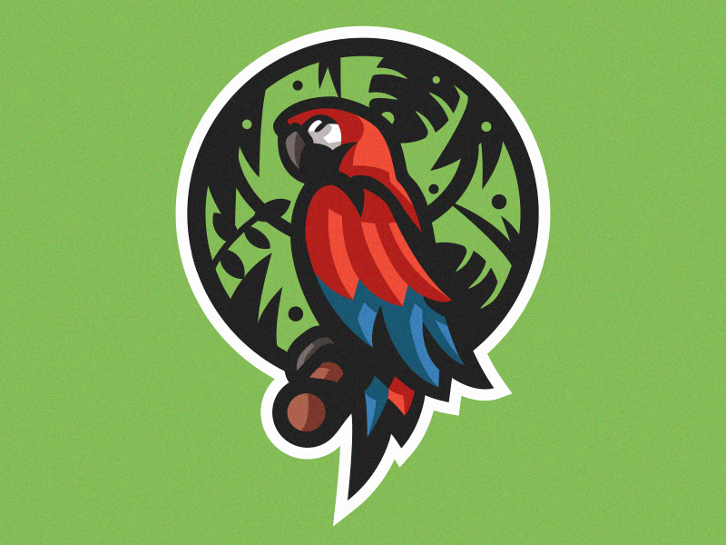 Parrot eagle parrot bird logo design vector esportslogo mascot logo mascot illustration gamer esports esportlogo esport branding