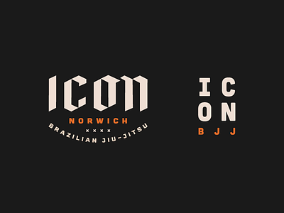 ICON BJJ boxing brand branding branding design brazilian jiu jitsu illustration martial arts mma