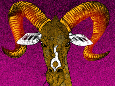 Giraffe Bighorn illustration