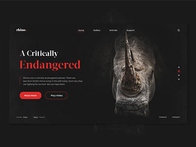 Rhino inspiration landing page rhino ui unsplash ux web design