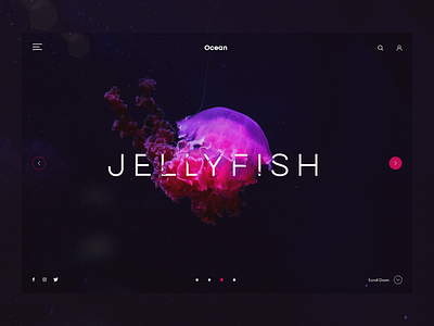 Jellyfish concept inspiration landing page photograhy ui unsplash ux web design