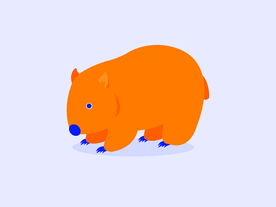 Wombat animals australiana flat flat design illustration wombat