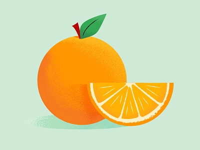 Orange fruit grain illustration lines minimalist orange painterly render shading simple still life vector