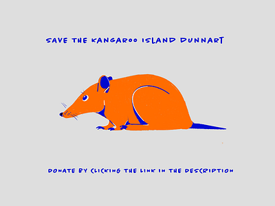 Save the Kangaroo Island Dunnart animal australia conservation donate dunnart fires flat flat illustration procreate