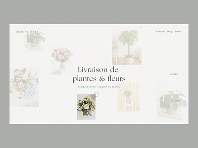 Layout experimentation for Bergamotte branding graphic design ui