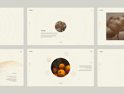 Website design for Aesop branding graphic design illustration ui