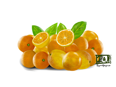 Oranges digital painting