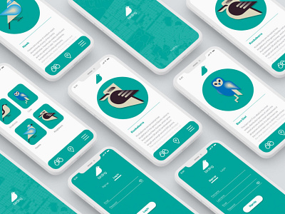 birding app app australia birds illustration kookaburra minimal owl productdesign ui ui design vector web