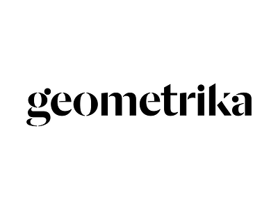geometrika logo branding logo