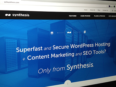 Synthesis blue headline hosting intro server synthesis wordpress