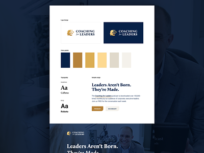 Visual Brand Concept branding color scheme design gold leaders logo navy typogaphy ui visual brand visual branding