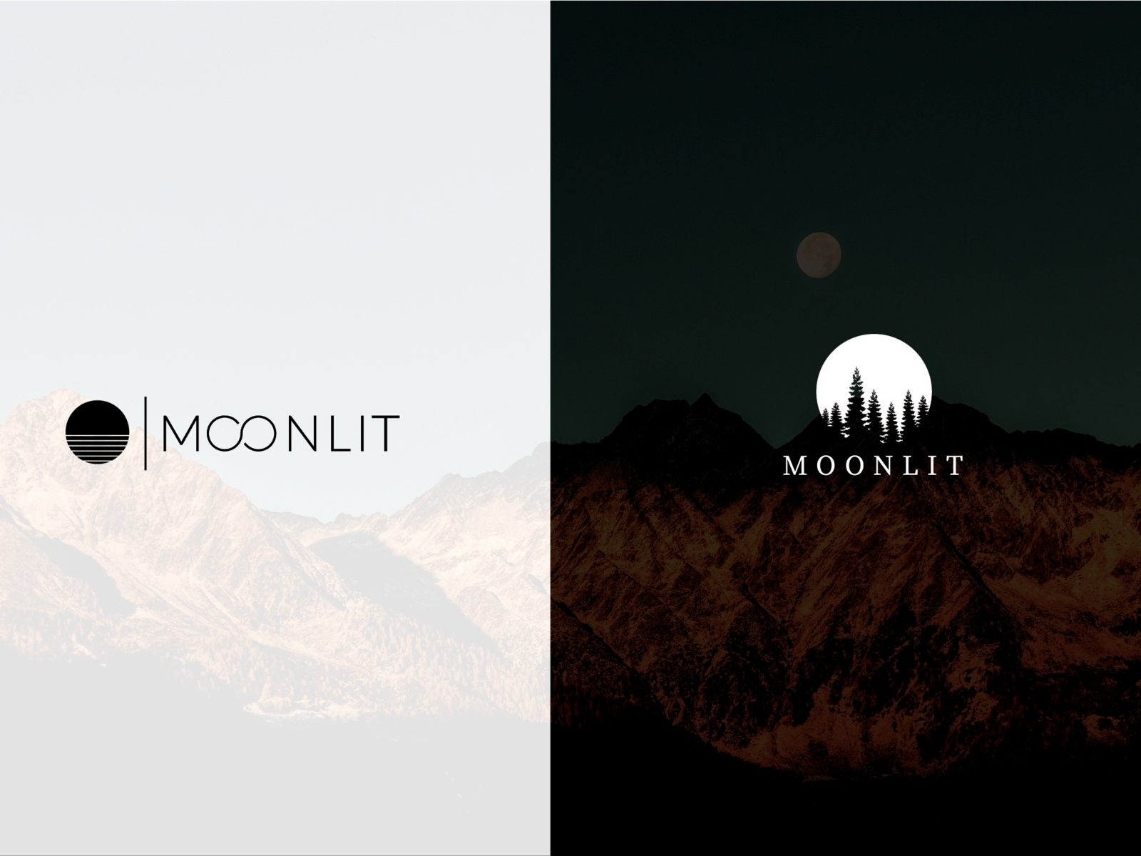 Moon by Anjelah Johnson on Dribbble