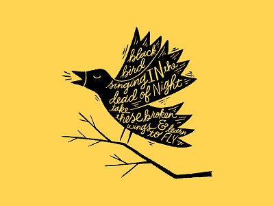 Black Bird bird illustration lettering