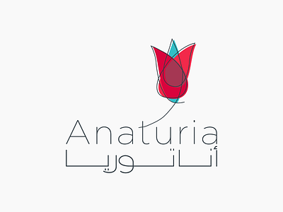 Anaturia arabic branding lettering logo logotype matchmaking