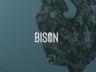 Bison wood