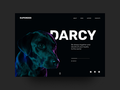 Dog shelter promo #1 animal dark ui design dog figma redesign typography ui web