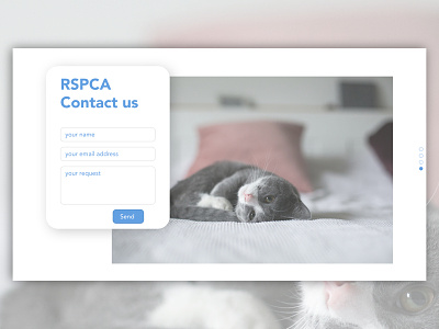 Daily UI 028 : Contact us cat contact us daily 100 challenge dailyui form rspca ui ux ui ux design ui 100 ui 100day uidaily uidesign