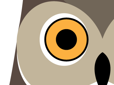 Window Owl illustration owl vector