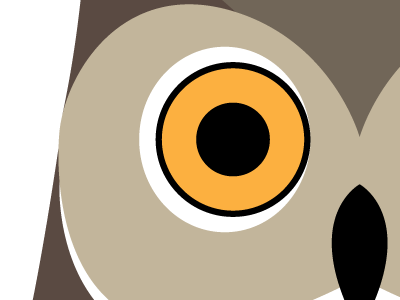 Window Owl