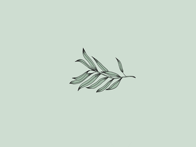 Olive branch design digital art digital illustration green leaf plant