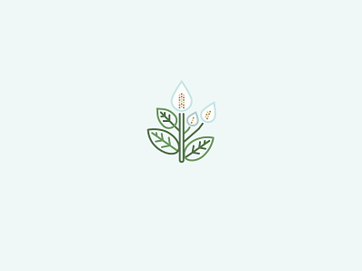 Peace lily flower icon illustration lily line nature peace