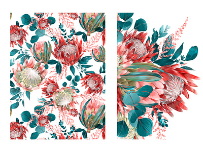 Seamless pattern with Protea flowers