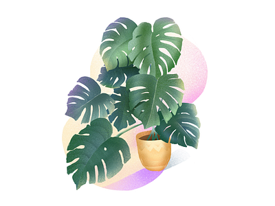 Monstera illustration 2d artwork creative designer digital illustration ipad monstera plant procreate tropical ui uidesign web