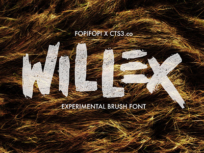 Willex Brush Font art brush handmade brush handwritten font logo messy brushes natural texture rusty trash vintage