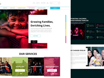 Adoption Agency Dynamic, Modern Website