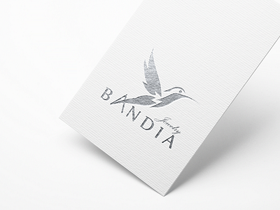 Bandia Logo Design design graphic design jewelry logo logo design