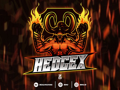 HEDGEX LOGO