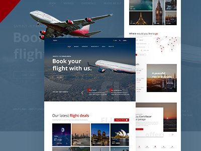 Skyline Airlines Landing page conceptual project design flat type typography ui ux web website