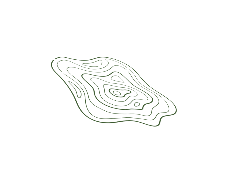 Level Curves / La Balbrière - GIF animation curves design gif illustration levels map shape topography