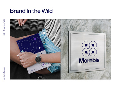 Morebis Brand in the Wild brand design brand identity branding design identity illustration typography