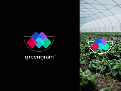 Branding for GreenGrain - Healthy nutrition brand branding design logo vector