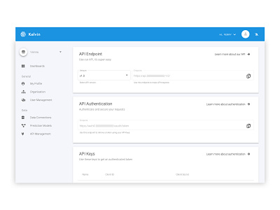 Api Management Design for Metis Labs dashboard design machine learning ui ui ux design