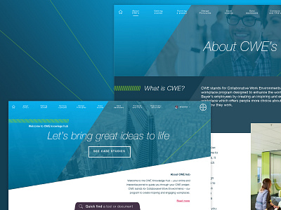 Bayer portal colorways branding colour design portal website