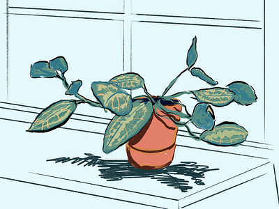 Plants doodles illustration illustrator inky plants procreate