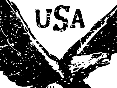 USA! drawing eagle illustration shirt type