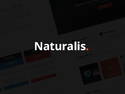 Naturalis - website template final blue clean design fresh minimalistic modern preview screenshot website