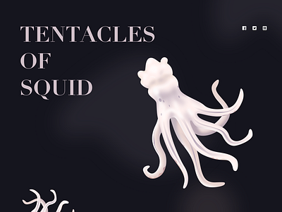 tentacles of squid