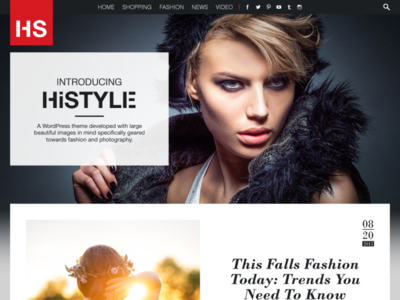 HiStyle Website Concept by Richard D on Dribbble