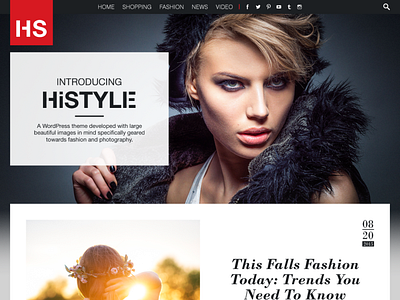 HiStyle Website Concept