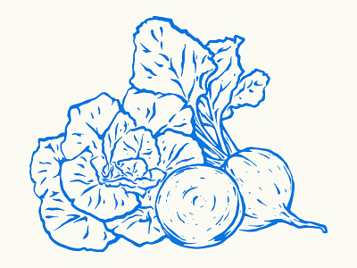 Cabbage & Radishes austin brand design brand identity branding drawing farm fresh food illustration illustrator procreate restaurant veggies