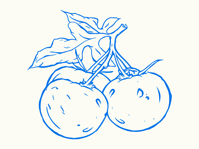 Tomatoes austin brand design branding farm fresh food foodie illustration illustrator procreate simple